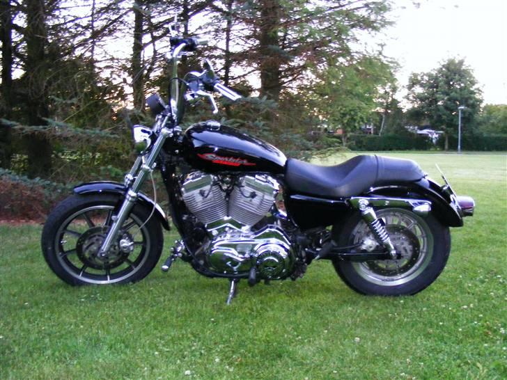 Harley Davidson Sportster XL883 billede 3