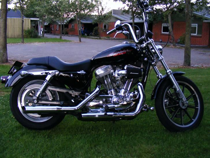 Harley Davidson Sportster XL883 billede 4