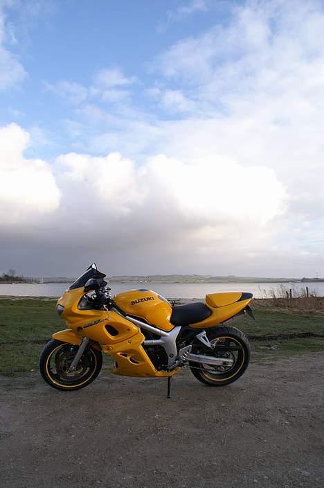 Suzuki *Brumbassen* SV 650 s DØD billede 2