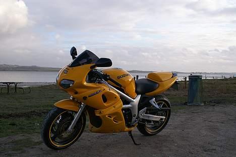 Suzuki *Brumbassen* SV 650 s DØD billede 4