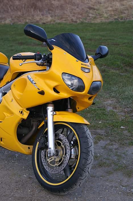 Suzuki *Brumbassen* SV 650 s DØD billede 9