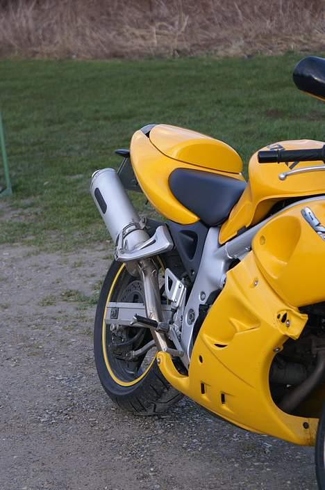 Suzuki *Brumbassen* SV 650 s DØD billede 10