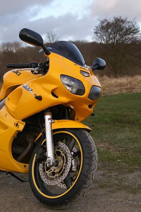 Suzuki *Brumbassen* SV 650 s DØD billede 12