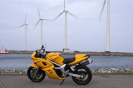 Suzuki *Brumbassen* SV 650 s DØD billede 16