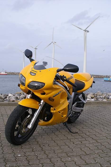 Suzuki *Brumbassen* SV 650 s DØD billede 17