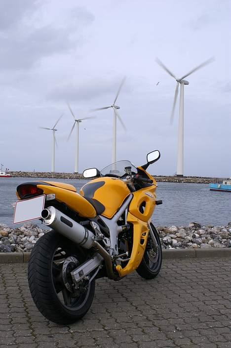 Suzuki *Brumbassen* SV 650 s DØD billede 18