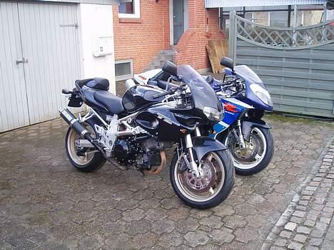 Suzuki TL 1000 S billede 2
