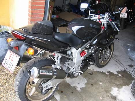 Suzuki TL 1000 S billede 3