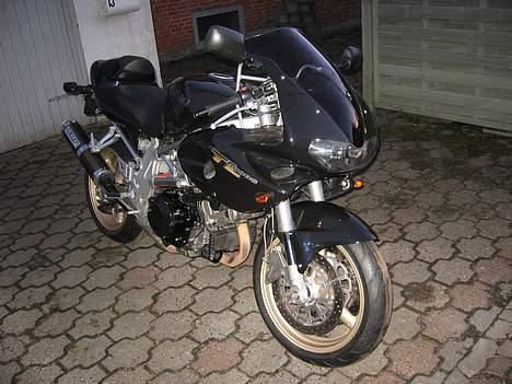 Suzuki TL 1000 S billede 5
