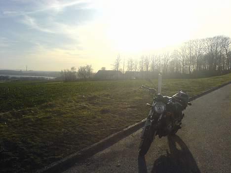 Suzuki GS 500 K4 billede 6
