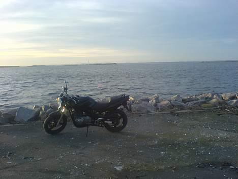 Suzuki GS 500 K4 billede 7