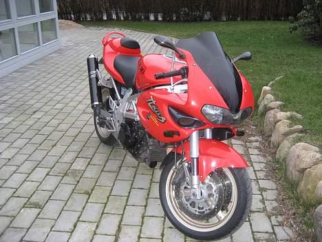 Suzuki tl 1000s (solgt) billede 7