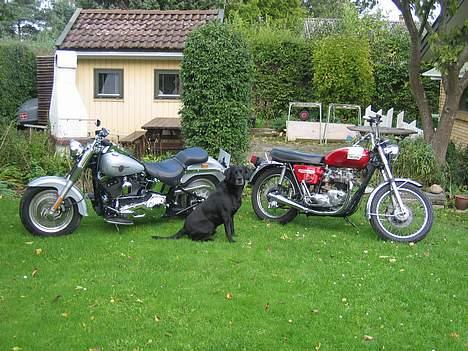 Harley Davidson Fat Boy billede 4