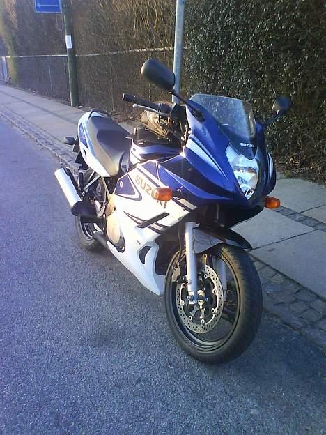 Suzuki GS500F *Solgt* billede 7