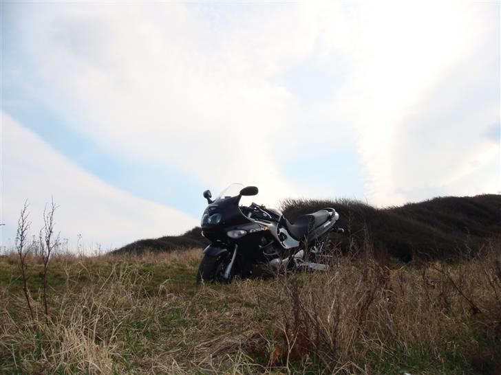 Suzuki gsx 750 f(solgt) billede 5