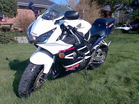 Honda CBR 954 RR billede 3