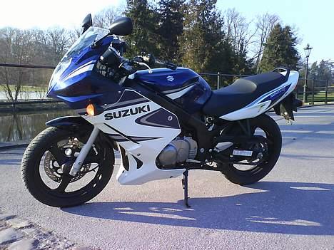 Suzuki GS500F *Solgt* billede 9