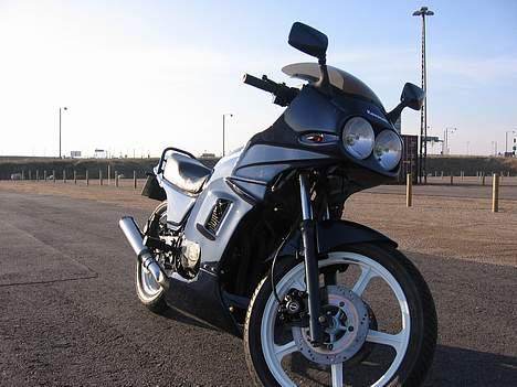 Kawasaki GPZ 550 billede 6