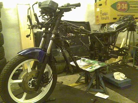 Kawasaki GPZ 550 billede 8