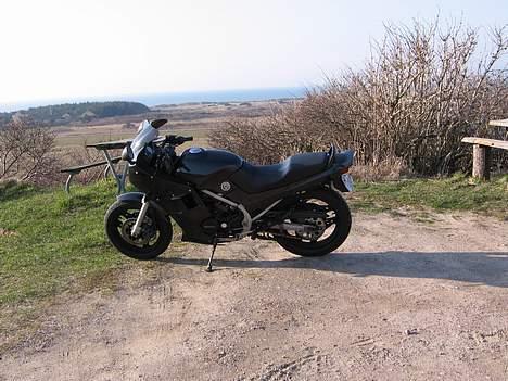 Honda VF 500 F2 (Solgt) - Nu i sort med udsigt ud over vesterhavet billede 6