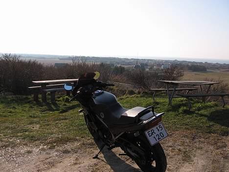 Honda VF 500 F2 (Solgt) - Man ser jo næsten ikke udsigten billede 12