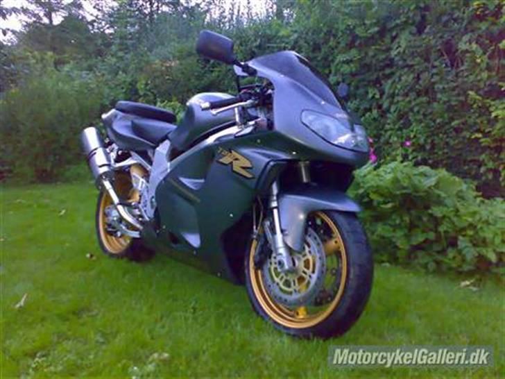 Suzuki TL1000R (Solgt) billede 14