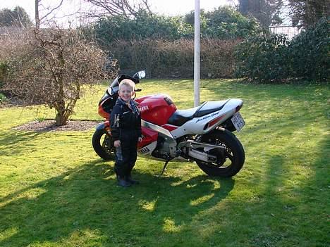 Yamaha thunderace "solgt" - en ace på græs billede 7