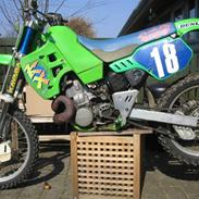 Kawasaki KX500 cross