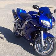 Suzuki SV650s (solgt tilbage)