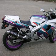 Yamaha FZR 600R