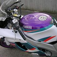 Yamaha FZR 600R