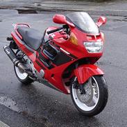 Honda cbr 1000 F ( SOLGT )