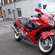 Honda cbr 1000 F ( SOLGT )