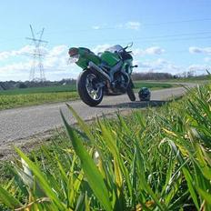 Kawasaki ZX6R SPECIAL MODEL :)