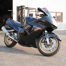 Honda Cbr 1100XX Super blackbir