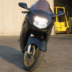 Honda Cbr 1100XX Super blackbir
