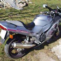 Suzuki RF600R