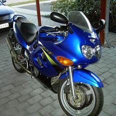 Suzuki vs 750 gl intruder