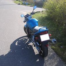 Suzuki GSF 650 Bandit