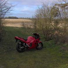 Suzuki RF600R "SOLGT"