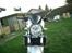 Suzuki SV 1000