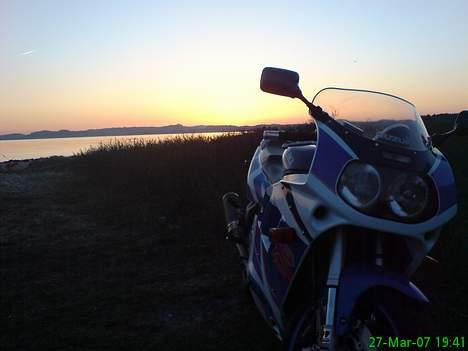 Suzuki GSX-R 1100 billede 15