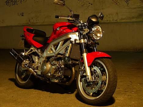 Suzuki SV1000 billede 1