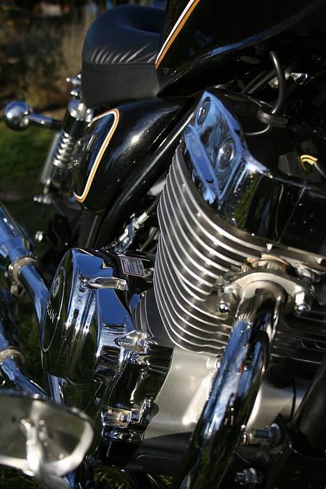 Lifan 250-4 Custom lowrider billede 5