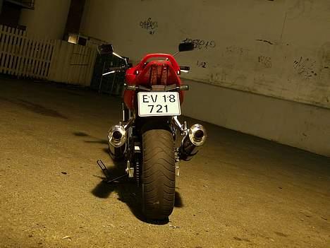 Suzuki SV1000 billede 2