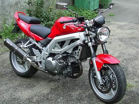 Suzuki SV1000 billede 3