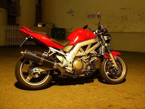 Suzuki SV1000 billede 4