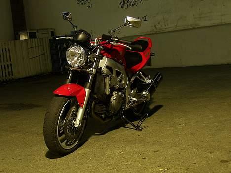 Suzuki SV1000 billede 5