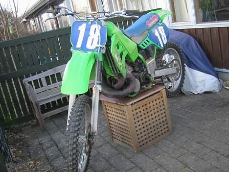 Kawasaki KX500 cross billede 2