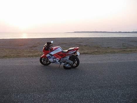 Honda CBR600F "solgt" - synes..... måske..... JA det er sgu min bike billede 6